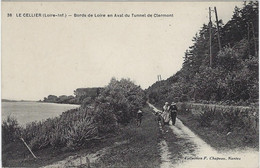 44  Le Cellier  -   Bords De  Loire En Aval Du Tunnel De Clermont - Le Cellier