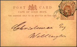 1892: Half Penny Stat. Card Sent Drom Cape Town To Wellington - Cape Of Good Hope (1853-1904)