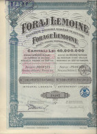 FORAGE LEMOINE -SOCIETE ANONYME ROUMAINE PAR ACTIONS -ACTION AU PORTEUR DE 500 LEI -1924 - Pétrole