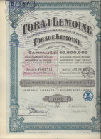 FORAGE LEMOINE -SOCIETE ANONYME ROUMAINE PAR ACTIONS -ACTION AU PORTEUR DE 500 LEI -1924 - Oil