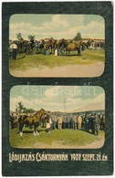 ** T2 1907 Csáktornya, Cakovec; Lódíjazás. Fischel Fülöp (Strausz Sándor) Kiadása / Horse Remuneration - Non Classificati