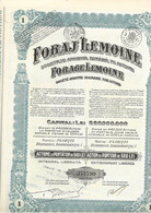 FORAGE LEMOINE -SOCIETE ANONYME ROUMAINE PAR ACTIONS -ACTION AU PORTEUR DE 500 LEI -1924 - Pétrole