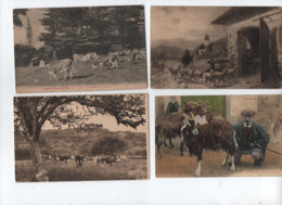 31 Cartes Agricoles , Animaux De La Ferme , élevages - Mouton , Vache ,  Chèvre - Moutons , Chèvres , Vaches - Elevage