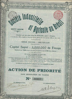 SOCIETE INDUSTRIELLE ET AGRICOLE AU BRESIL - ACTION DE PRIORITE - ANNEE 1906 - Agriculture