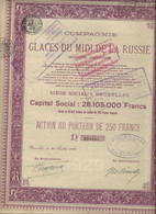 COMPAGNIE DES GLACES DU MIDI DE LA RUSSIE-ACTION DE 250 FRS .- ANNEE 1929 - Rusia