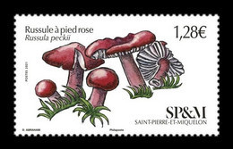 St. Pierre And Miquelon 2021 Mih. 1347 Flora. Mushrooms. Pink Foot Russule MNH ** - Unused Stamps