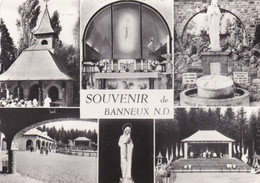 Delcampe - Souvenir De Banneux N.D. - Sprimont