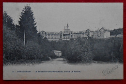 CPA Borgoumont, Stoumont - Sanatorium Provincial Vu De La Route - Stoumont