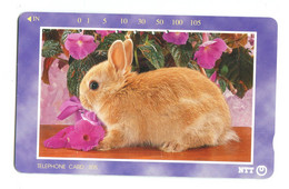 Télécarte NTT - Lapin - 231-291 - Conejos