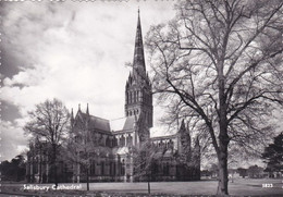 QM - SALISBURY - Cathedral   ( 2 Cartes Neuf) - Salisbury