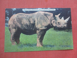 African Black Rhinoceros     NY Zoo  >     Ref 4852 - Rinoceronte