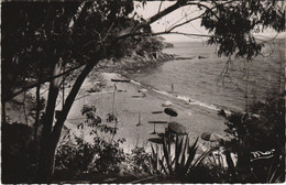 CPA LE RAYOL Plage Du Rayol - Environs Du Lavandou (1112471) - Rayol-Canadel-sur-Mer