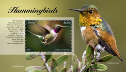 Liberia 2020  Fauna Hummingbirds    S202102 - Liberia