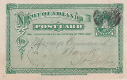 TERRE-NEUVE 1891  ENTIER POSTAL/GANZSACHE/POSTAL STATIONARY  CARTE - Postal Stationery