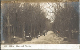 Roma - Viale Del Pincio - Parchi & Giardini