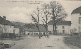 CHAUVIREY -LE-CHATEL   70  HAUTE SAONE   CPA   PLACE DES TILLEULS - Andere & Zonder Classificatie