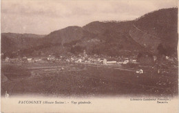 FAUCOGNEY   70  HAUTE SAONE   CPA  SEPIA  VUE GENERALE - Autres & Non Classés