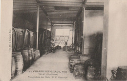 VALAY   70  HAUTE SAONE  CPA  CHARPILLET-GILLOT VINS  - LES CHAIS - Autres & Non Classés