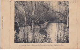 Forêt De Dreux équipage Du Vicomte De Chezelles Le Cerf Bat L'eau - Chasse