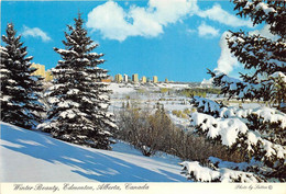 ALBERTA - EDMONTON - WINTER BEAUTY - Edmonton