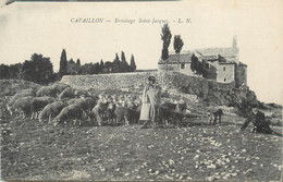 Delcampe - .CPA  FRANCE 84 " Cavaillon, Ermitage St Jacques" - Cavaillon