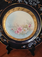 Assiette Porcelaine D M LIMOGES France Decor Fleurs, Double Or Réhausse Main - Limoges (FRA)