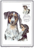 Carte Maximum  2016 :  Chien Tâcheté Tchèque , Czech Dog - FDC