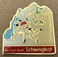 LUTTE SUISSE -  BERNISCH KANT. SCHWINGFEST - 8 / 15 AUGUST - AOÛT 1993 - GRINDELWALD - SCHWEIZ - SWITZERLAND -  (18) - Worstelen