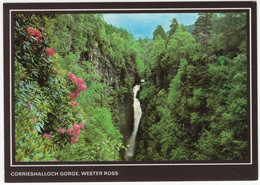 Corrieshalloch Gorge, Wester Ross -  Scotland - Ross & Cromarty