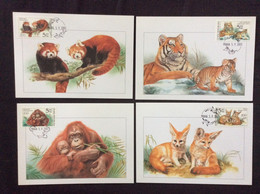 4 Cartes Maximum Animaux De Zoo Petit Panda Fennec Tigre Orang Outan - FDC