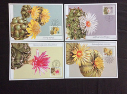 4 Cartes Maximum Fleurs 2006  : Cactus - FDC