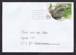 Netherlands: Cover, 2021, 1 Stamp + Tab, Otter, Endangered Animal (traces Of Use) - Cartas