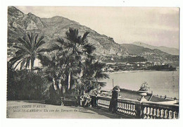 MONACO - Un Coin Des Terrasses - 384 - Le Terrazze