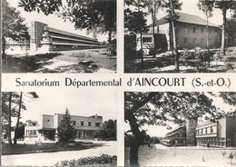 CPSM Aincourt Sanatorium Départemental Vues Multiples - Autres Communes