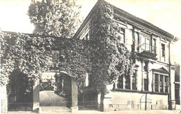 Germany:Eltville Near Rhein River, Herrenhaus With Portal, Pre 1940 - Eltville