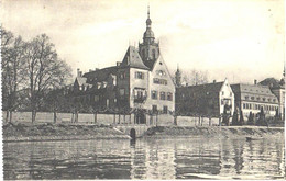 Germany:Eltville Near Rhein River, Castle, Manor, Pre 1940 - Eltville