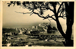 Calvi * Carte Photo * Panorama De La Commune * Photographe LUCARELLI , Nice * Haute Corse 2B - Calvi