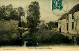 Trainel * Chemin De Bray Sur Seine * Lavoir Laveuse - Other & Unclassified