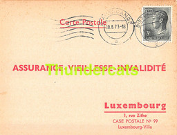 ASSURANCE VIEILLESSE INVALIDITE LUXEMBOURG 1973 DIFFERDANGE PUCCI - Covers & Documents
