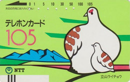 TC Ancienne JAPON / NTT 310-003 ** 105 U ** - TBE - ANIMAL - OISEAU LAGOPEDE - GROUSE BIRD JAPAN Front Bar Phonecard - Japan