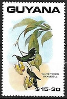 Guyana - MNH ** 1990 : Plate Of John Gould (1804 - 1881) :     White-tipped Sicklebill -   Eutoxeres Aquila - Colibríes