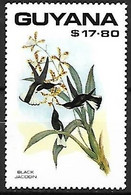 Guyana - MNH ** 1990 : Plate Of John Gould (1804 - 1881) :    Black Jacobin  -  Florisuga Fusca - Segler & Kolibris