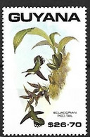 Guyana - MNH ** 1990 : Plate Of John Gould (1804 - 1881) :    Ecuadorian Piedtail  -  Phlogophilus Hemileucurus - Hummingbirds