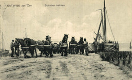 KATWIJK AAN ZEE  Schuiten Trekken - Katwijk (aan Zee)