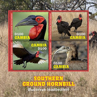 Gambia  2020  Fauna  Southern Ground Hornbill  I202104 - Gambia (1965-...)
