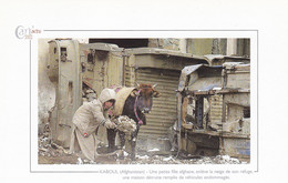 KABOUL - Une Petite Fille Afghane Enlève La Neige De Son Refuge... - Cart'actu 2002 N° 101 - Photo Jewel Samad - Afghanistan