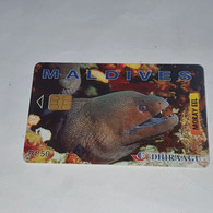 Maldives-(274MLDGIA(A)-MAL-C-02)-moray Eel-(11)-(RF50)-(274MLDGIA02000569)-used Card+1card Prepiad Free - Maldive