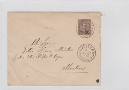 Busta - 1890 Umberto I Sovrastampato Cent 20 Su Cent 30 - Novellara X Mantova - Other & Unclassified