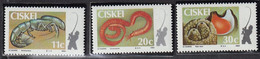 CISKEI (Afrique Du Sud) - Faune, Lapin, écureuil, Loup, Caracal - Y&T N° 30-33 - MNH - 1982 - Other & Unclassified