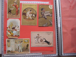 7 Chromos CATS, Katten, Chat, Katz CIRCUS Clown, Hand Press Litho Cards By PACON & COUTRY -  PUB Illustrators - Other & Unclassified